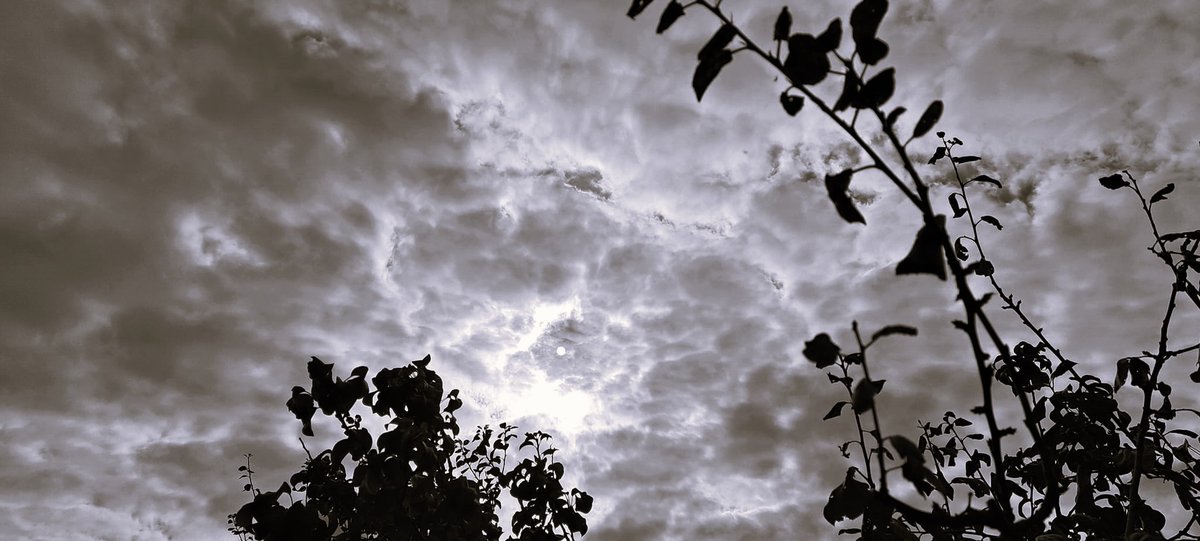 #vss365 #InstantEternal

Miniscule ferrules
In the grey..
Autumn calls the winds,
The sun, the moon..today~
Wilder than the twelve
Of dreaming
On the calendars thrum,
Older than its nightly meaning,
This exquisite changing..
                         Of the drums,

#AutumnEquinox