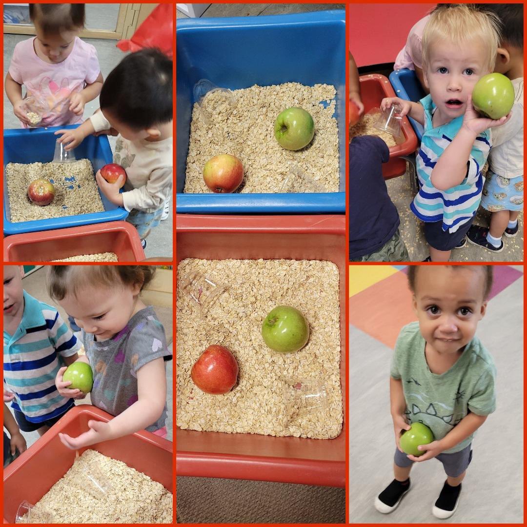 It's been an apple-solutely fun week @CFISDELC1 From homemade applesauce, apple donuts, apple pie, apple picking, apple art, apple math, apple writing and apple science. @CFISDELCS #appleweek #earlylearning