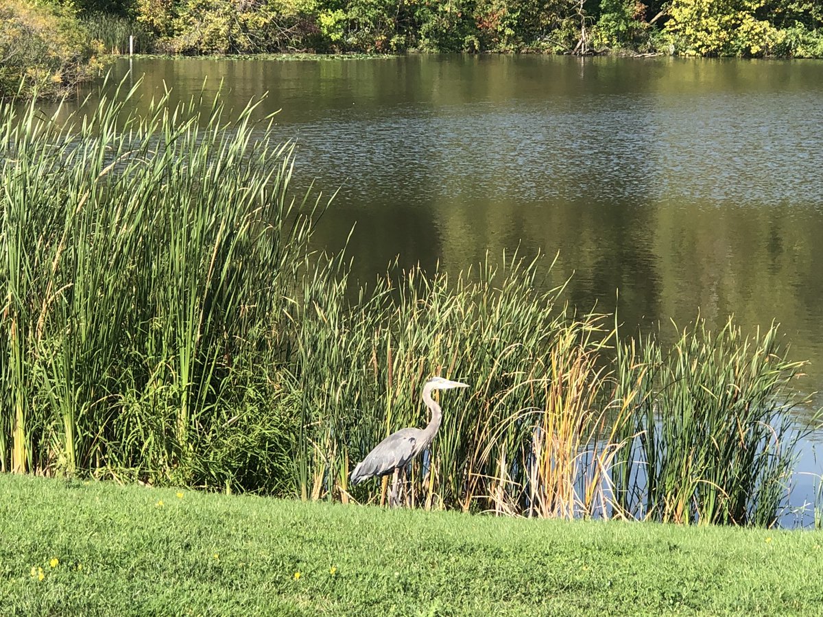 Howie01353073's tweet image. Good morning Fermi Lab!
#fermi #fermilab #batavia #illinois #science #nature #NaturalBeauty