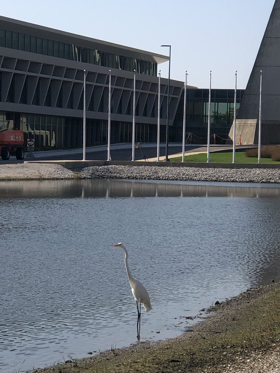 Howie01353073's tweet image. Good morning Fermi Lab!
#fermi #fermilab #batavia #illinois #science #nature #NaturalBeauty