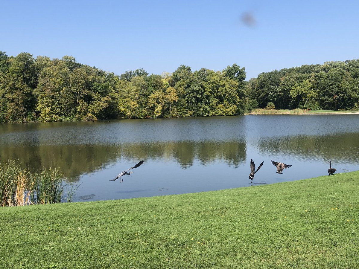 Howie01353073's tweet image. Good morning Fermi Lab!
#fermi #fermilab #batavia #illinois #science #nature #NaturalBeauty
