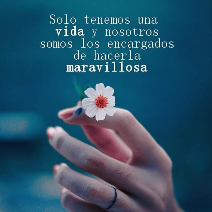✨️Mis almas hermosas, hagamoslo maravillosa✨️