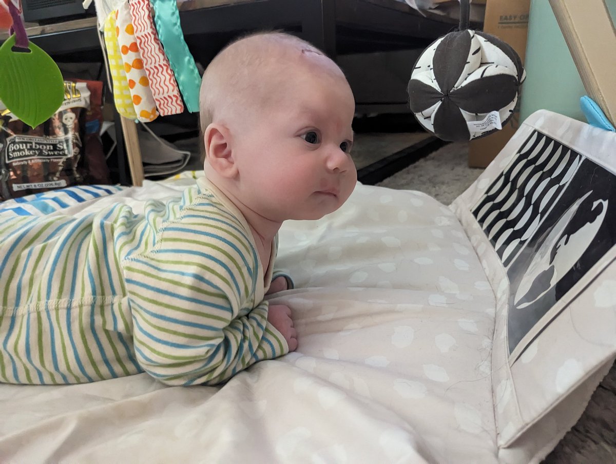 Awesomocity0's tweet image. Studying the map and contemplating how to solve world hunger