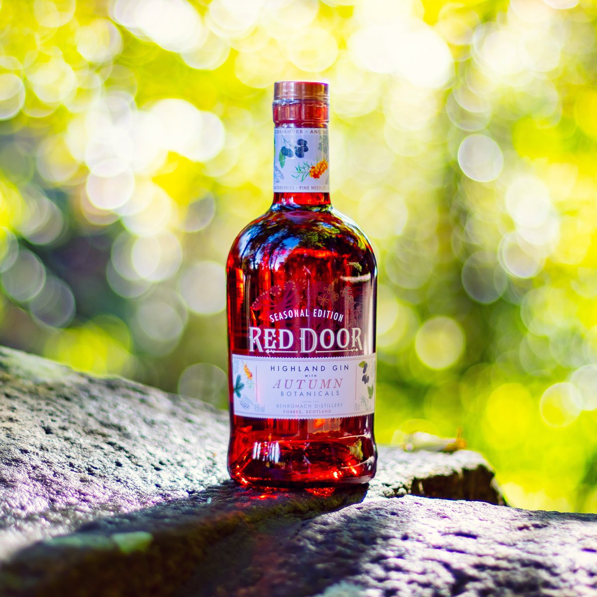Embrace the season of falling leaves and cosy evenings with our delightful Red Door Gin with Autumn Botanicals.

Red Door Gin with Autumn Botanicals is now available for £26.99 with FREE delivery on our website. bit.ly/43X9pML

Thanks for sharing <a href="/Gin_Cooperative/">The Gin Cooperative</a>.