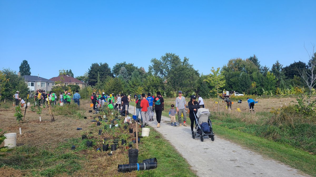 10ktrees's tweet photo. Mid way through the planting! https://t.co/cvaBo8g5eq