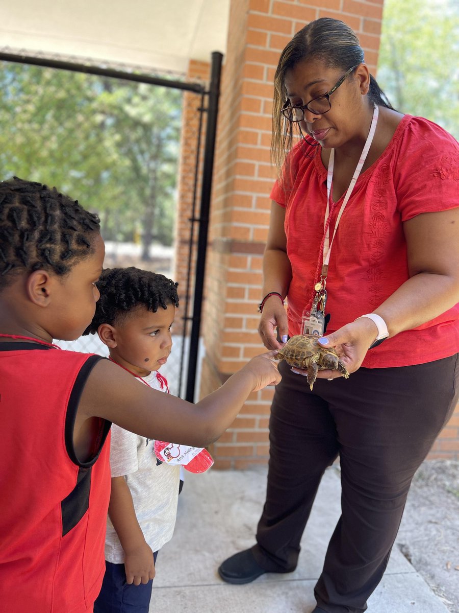 JMarquez_OFE's tweet photo. Creating a sense of wonder in our young learners and finding joy in learning is our why, encouraging exploration, curiosity and fun. 
We're happy to have Duke Donatello Ninja Tortoise 🐢 with us in PK. @HumbleISD_OFE 
 #levelingupourlearning
@HumbleISD 
#WatchUsSoar https://t.co/isZWwtWbw1