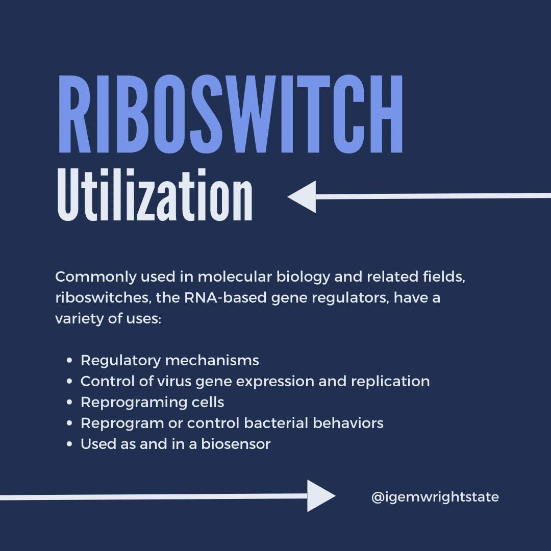 WrightStateiGEM tweet media
