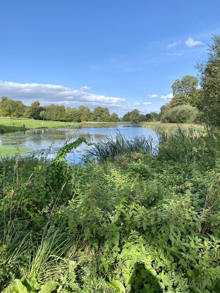 Mark Bramwell tweet media