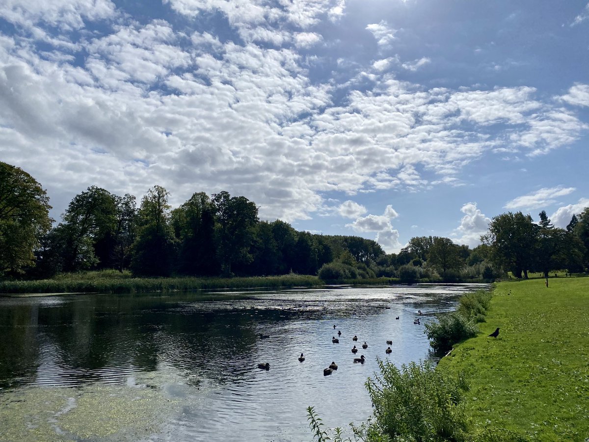 Mark Bramwell tweet media