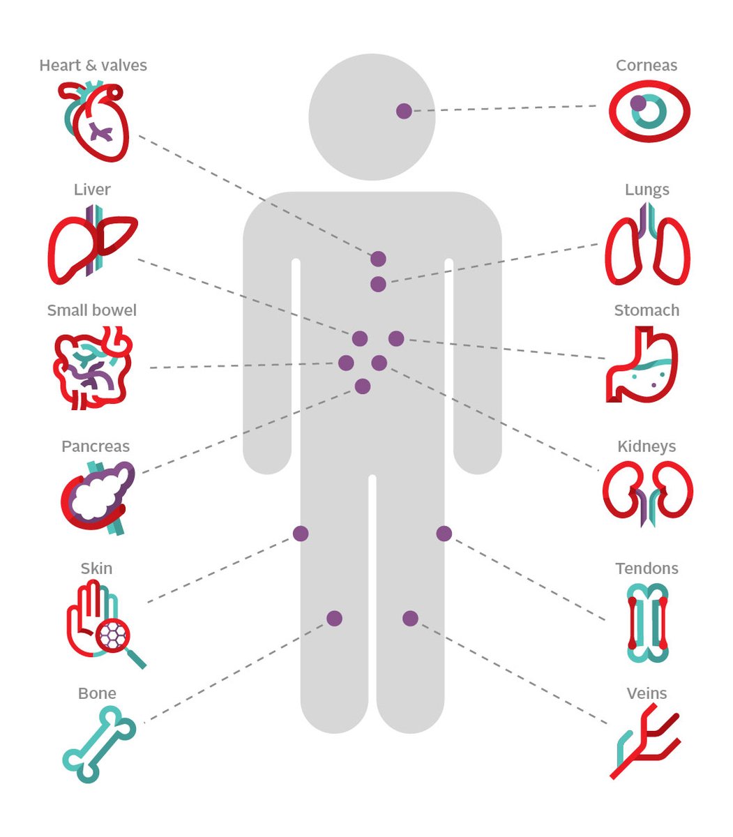 CanadasLifeline's tweet photo. Did you know that all of these organs and tissues are eligible for donation? π
You could save or change someone's life. Patients in Canada are counting on you.
You can register your intent to donate organs and tissues at https://t.co/BmS9NgppEI
#OrgansTissuesForLife https://t.co/zuKXqDk0g1
