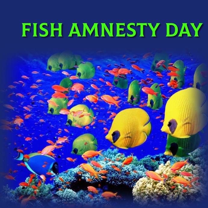 Sept. 23 is #FishAmnestyDay 2023. >peta.org/blog/smile-eve…; pic-d1csarkz8obe9u.cloudfront.net/posterpreviews… #FishAmnestyDay2023 #FAD2023
