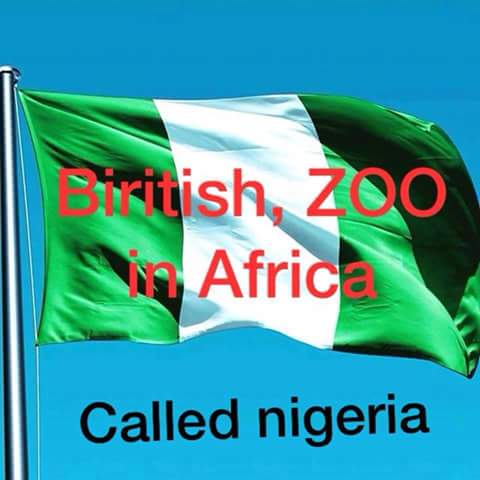 MichaelVerygoo1's tweet photo. They have been listening to @MaziNnamdiKanu broadcast that said "Biafra freedom is the only way Africa can be developed" they should all come out to call for #FreeMaziNnamdiKanuNow 
@EjioforBar @ipob_central @AloyEjimakor @BBCAfrica @CNNAfrica @AJEnglish https://t.co/xygeQD2gEw