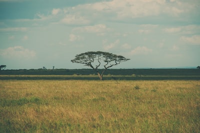 Hrh_Brume2's tweet photo. Photo By Paola Blašković | Unsplash - via @Crowdfire
#louisianaoutdoors #sewing #balloon #outdoors #fishingsubscriptionbox https://t.co/EoC2DYsPKf