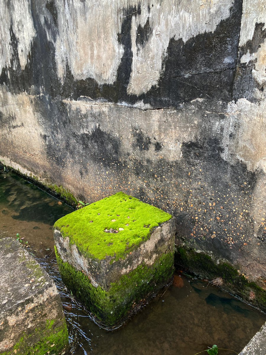 Firststep👟 ก้าวแรก tweet media