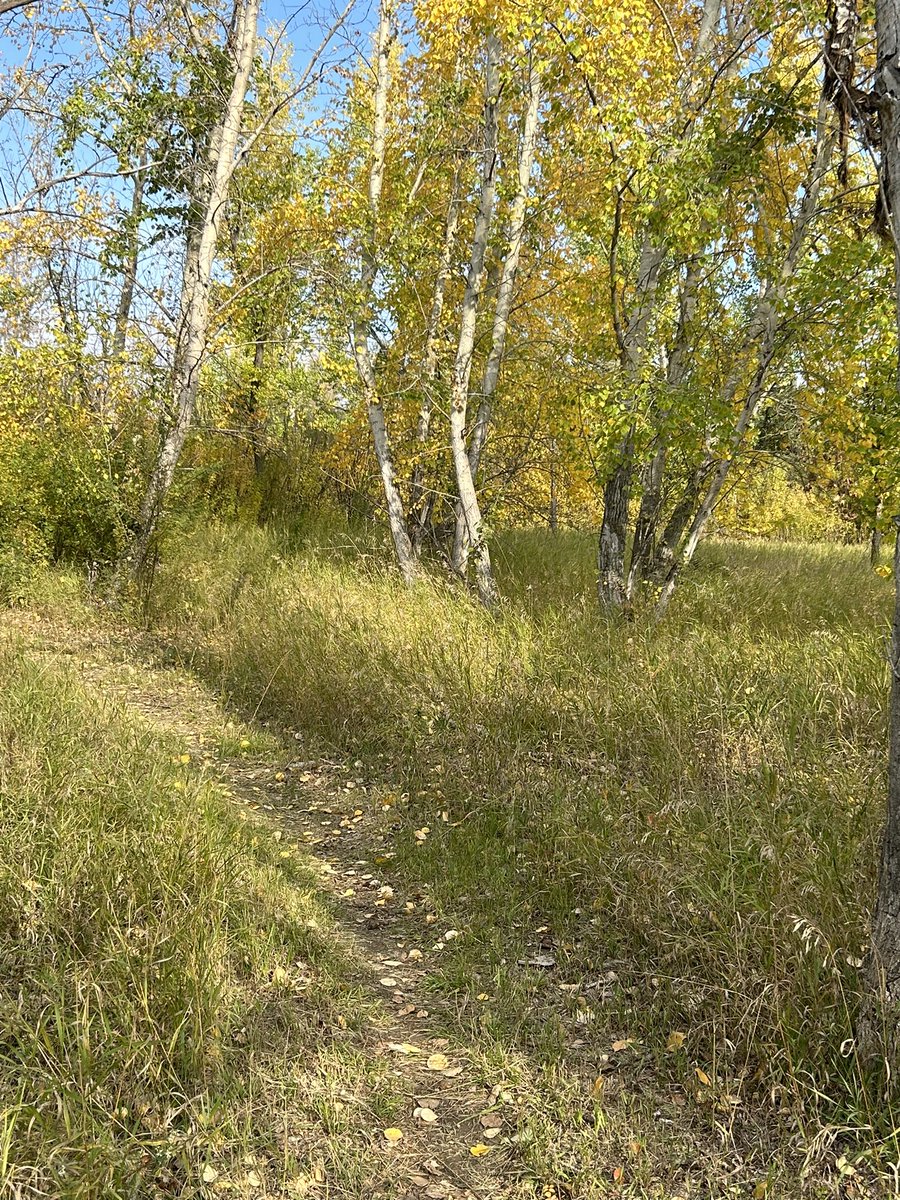 Beauty day for a walk. To all my farmer friends the end is near. Happy harvest.