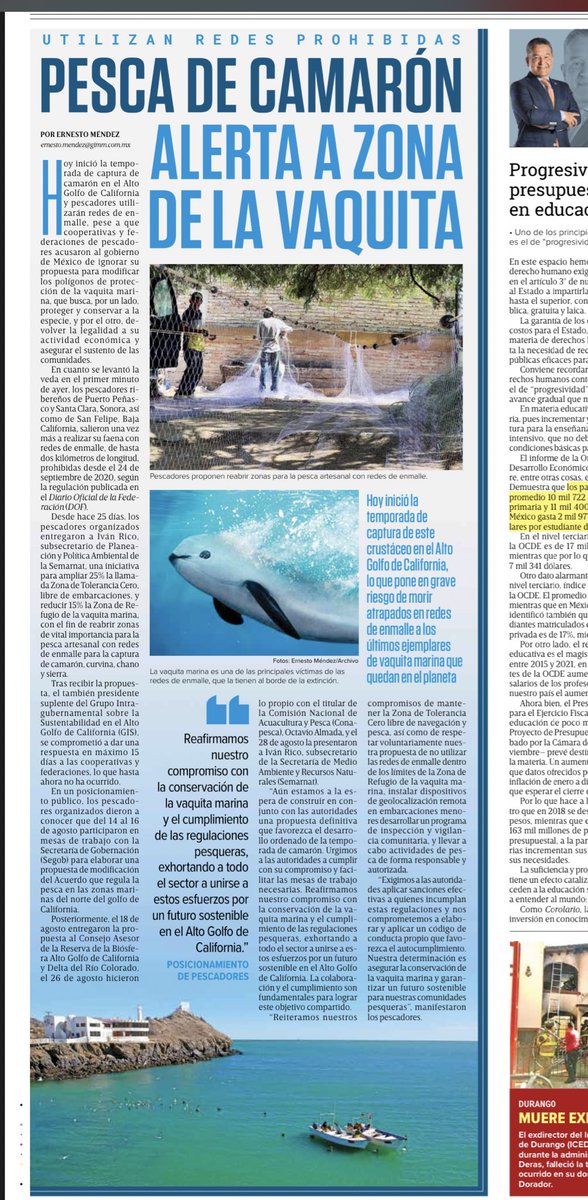 Ernesto Méndez (@ernesto_mendez) on Twitter photo En el primer minuto de este sábado inició la temporada de captura de camarón en el Alto Golfo de California. 🦐
Cooperativas y federaciones de pescadores acusaron al <a href="/GobiernoMX/">Gobierno de México</a> de ignorar su propuesta para modificar los polígonos de protección de la #VaquitaMarina En el primer minuto de este sábado inició la temporada de captura de camarón en el Alto Golfo de California. 🦐
Cooperativas y federaciones de pescadores acusaron al <a href="/GobiernoMX/">Gobierno de México</a> de ignorar su propuesta para modificar los polígonos de protección de la #VaquitaMarina