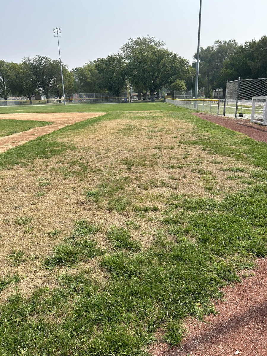 Odeys Field Experts tweet media