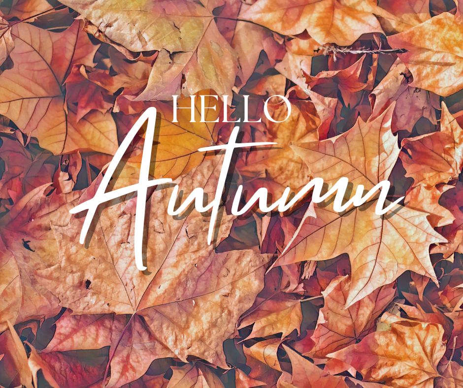 Happy #FirstDayOfFall! What are some of your favorite fall activities?