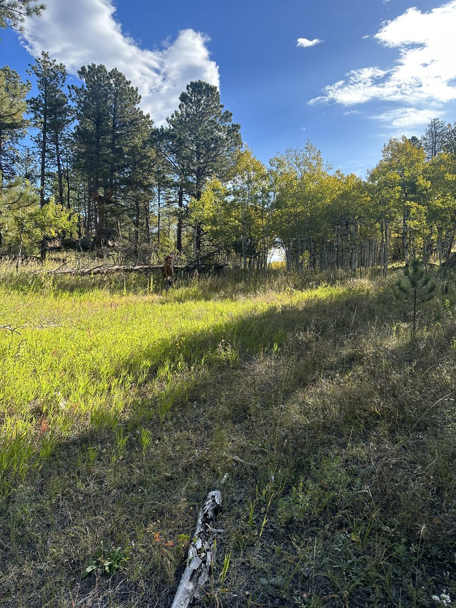 Tracy Ross (@writertracyross) on Twitter photo I brake for portals. #NationalPublicLandsDay I brake for portals. #NationalPublicLandsDay