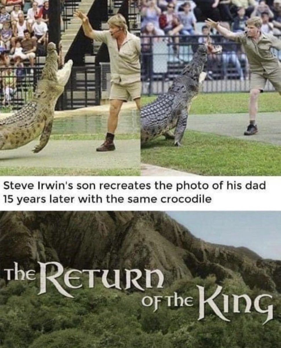 Dudes Posting Their W’s (@dudespostingws) on Twitter photo 