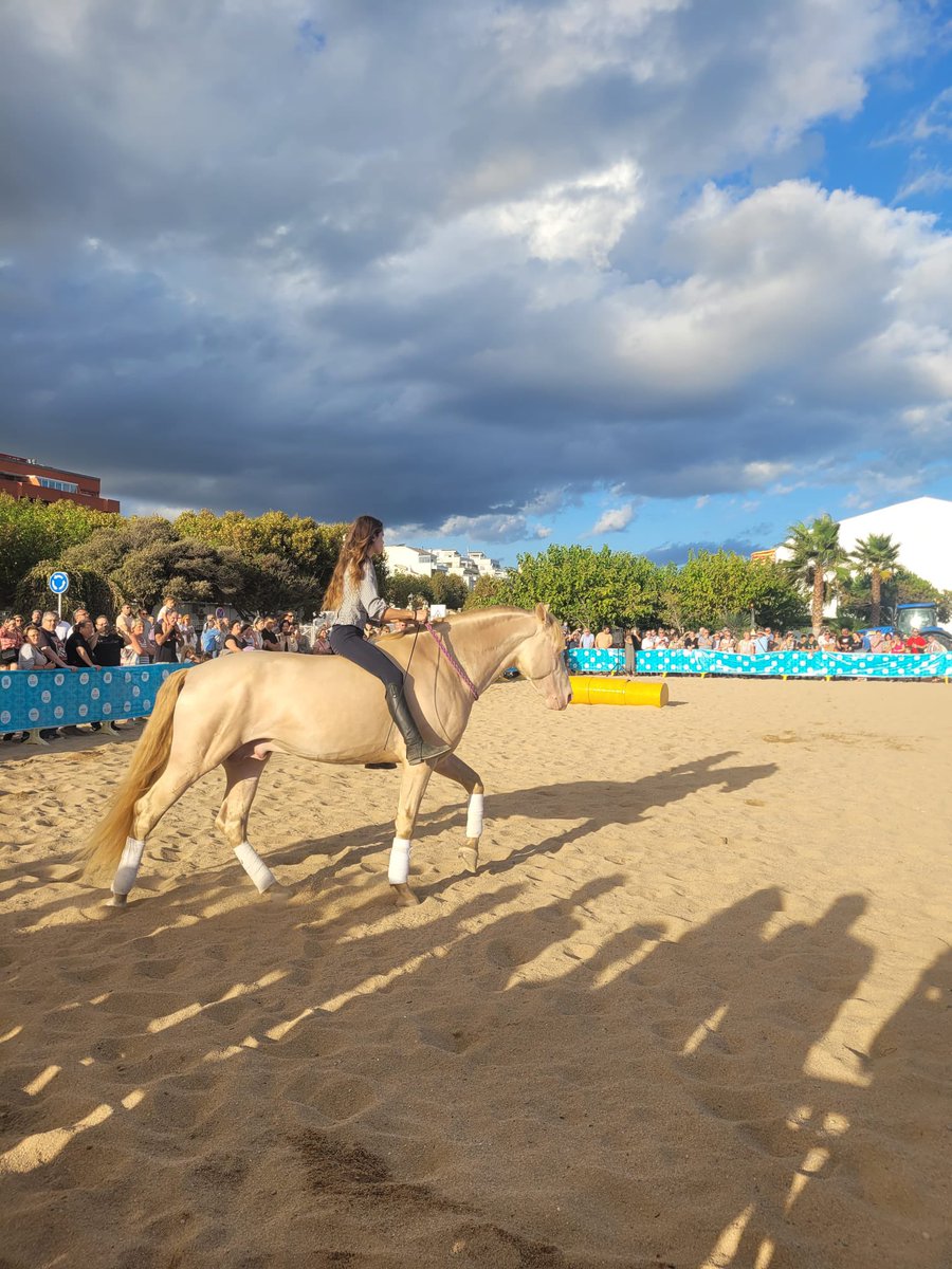 De Banyoles tweet media