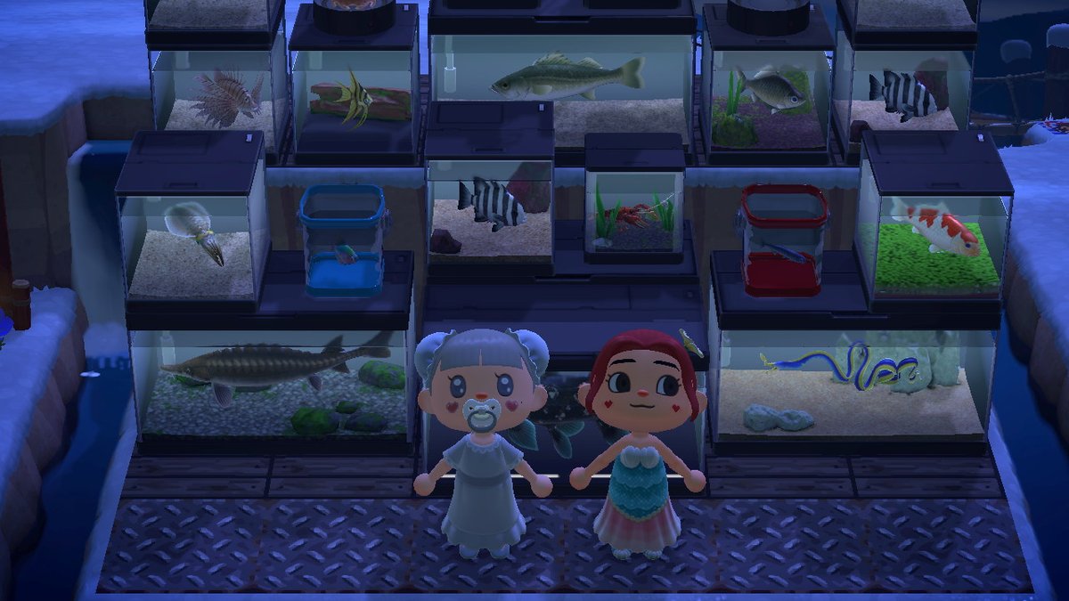 yeonji's tweet photo. #AnimalCrossing #ACNH #NintendoSwitch https://t.co/pSlDwQl0xb