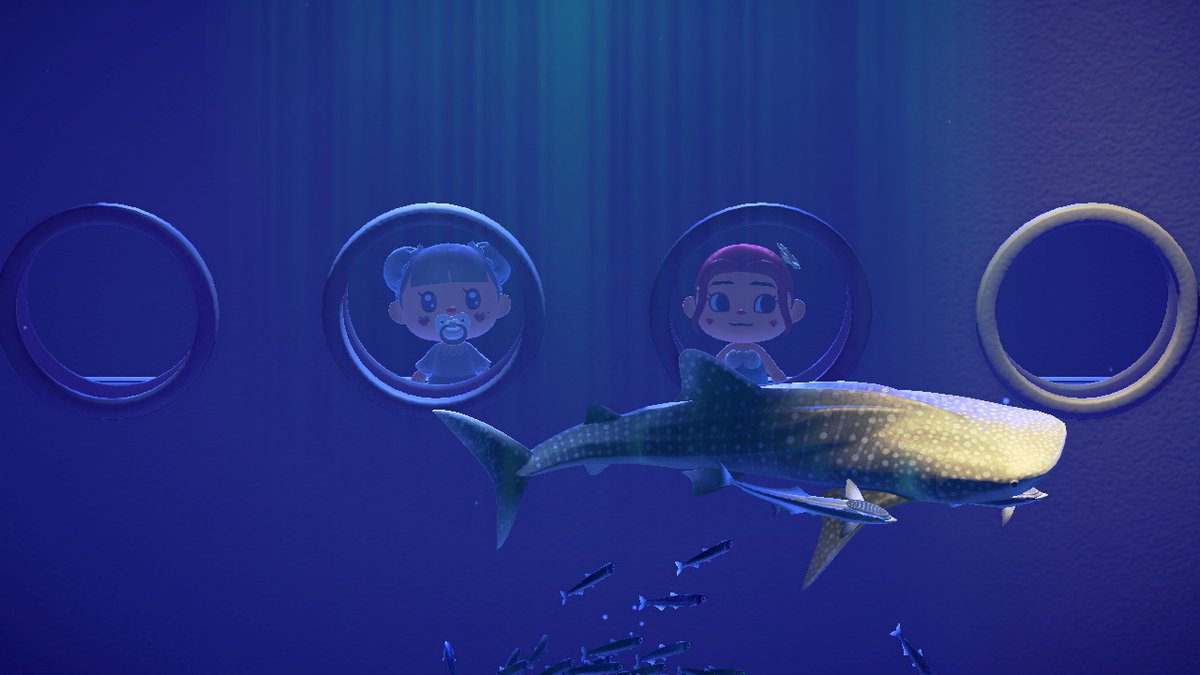 yeonji's tweet photo. #AnimalCrossing #ACNH #NintendoSwitch https://t.co/FnmqaXxlDB