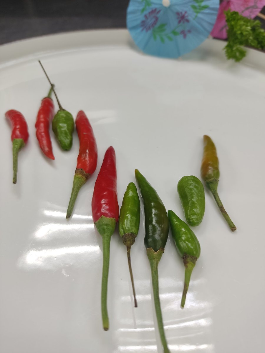 chivienx's tweet photo. Bay lên nào ^^,\m/
#BrandedFeatures #platingideas #yummy #food #recipes https://t.co/91mStkA8KA