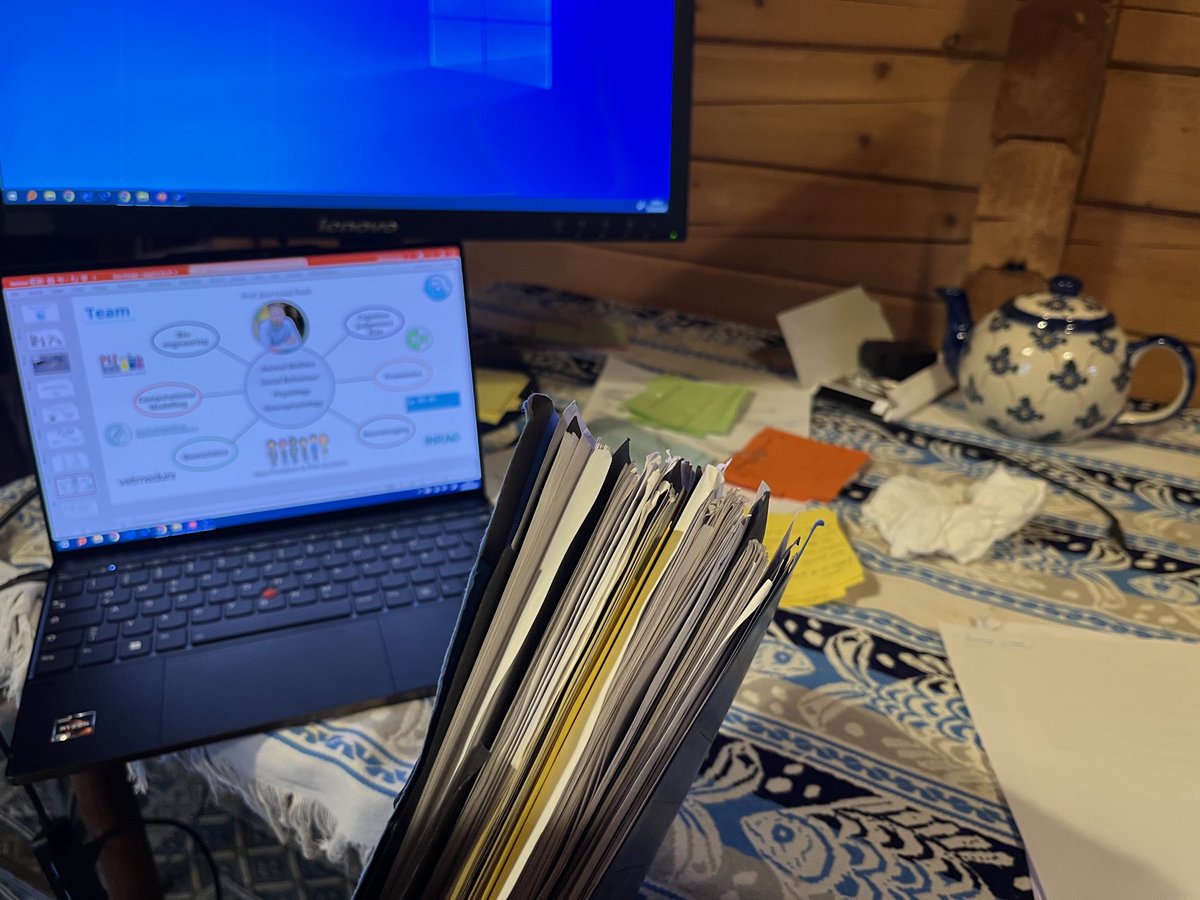 All these notes, to prepare for a 5 min ERC talk &amp; 20 min Q&amp;A interview. Academia: you gotta love it!