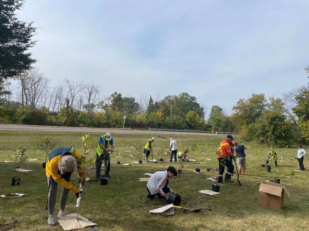 QCOutreach's tweet photo. A great morning spent tree planting in Belleville with @rotarybell @BellevilleON and community volunteers for #TDTreeDays. Together, we’re restoring urban forests. Over 500 trees were planted at Township Park - maples, oaks, aspens, birch, cherry, pine, cedar and shrubs. https://t.co/ww1KguHOVh