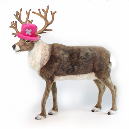 ma boi chopper, netflix style #netflix #chopper #onepiece