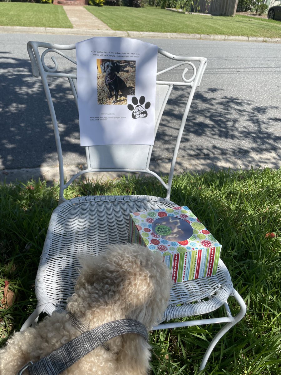TheDaraKam's tweet image. Max and I ❤️our #LafayettePark neighborhood!! Doggo celebrating a year of joining his furever family on Beard St by sharing fresh-baked dog treats!!! 🙏🎊🎉🐕‍🦺