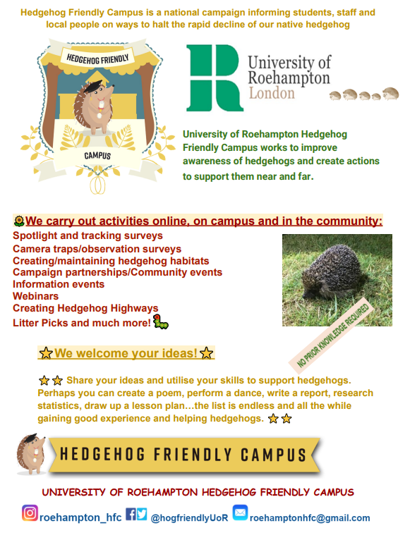 University of Roehampton Hedgehog Friendly Campus tweet media