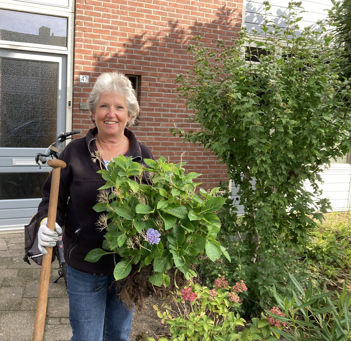 carmen1973's tweet photo. Groen redden van de sloop met Stichting Struikroven en @waardwonen #woningplukken #struikroven #duurzaam https://t.co/h7lQ4v8lIA https://t.co/18xwUDnBiH