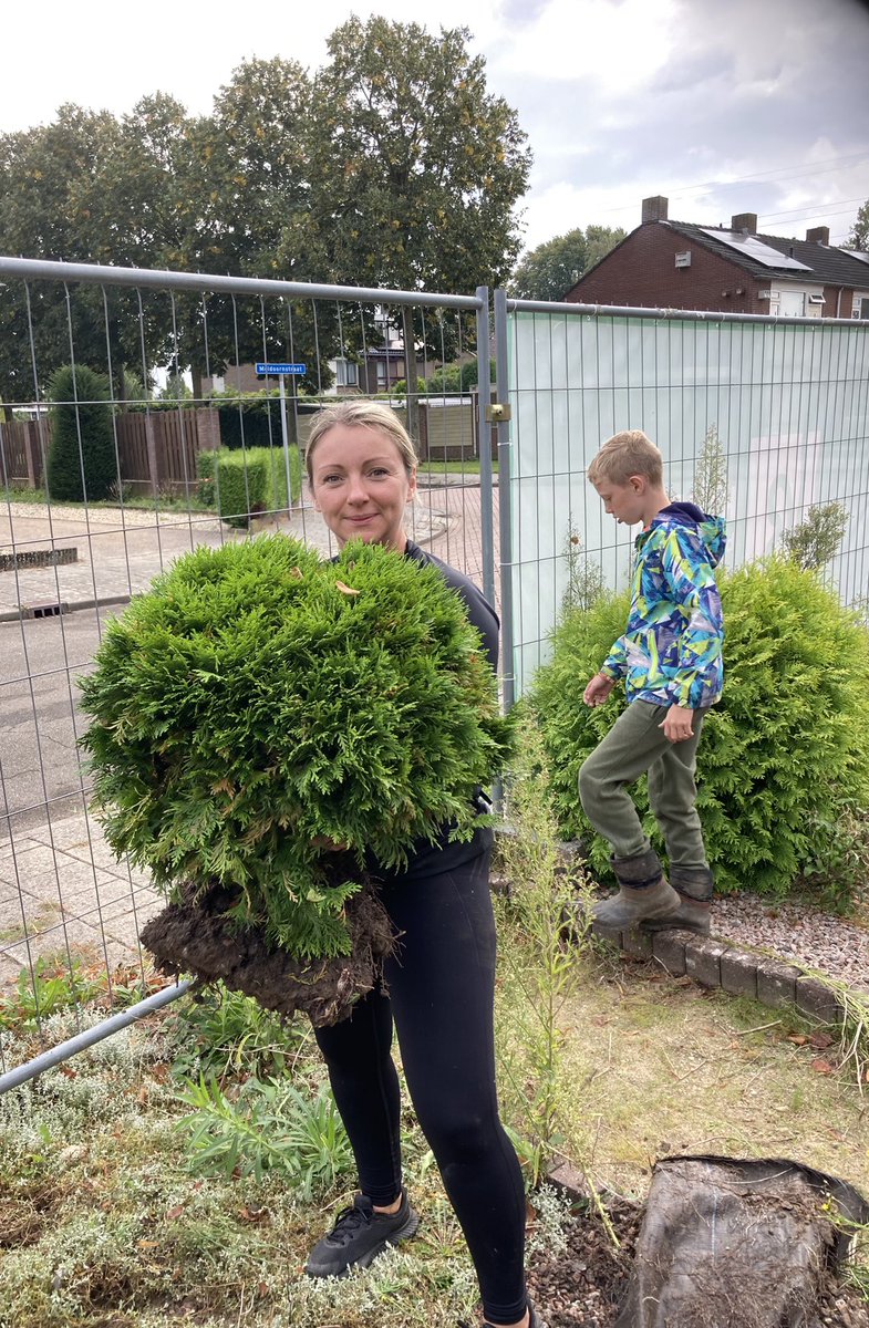 Groen redden van de sloop met Stichting Struikroven en @waardwonen #woningplukken #struikroven #duurzaam gewoongroen.net/2023/09/woning…