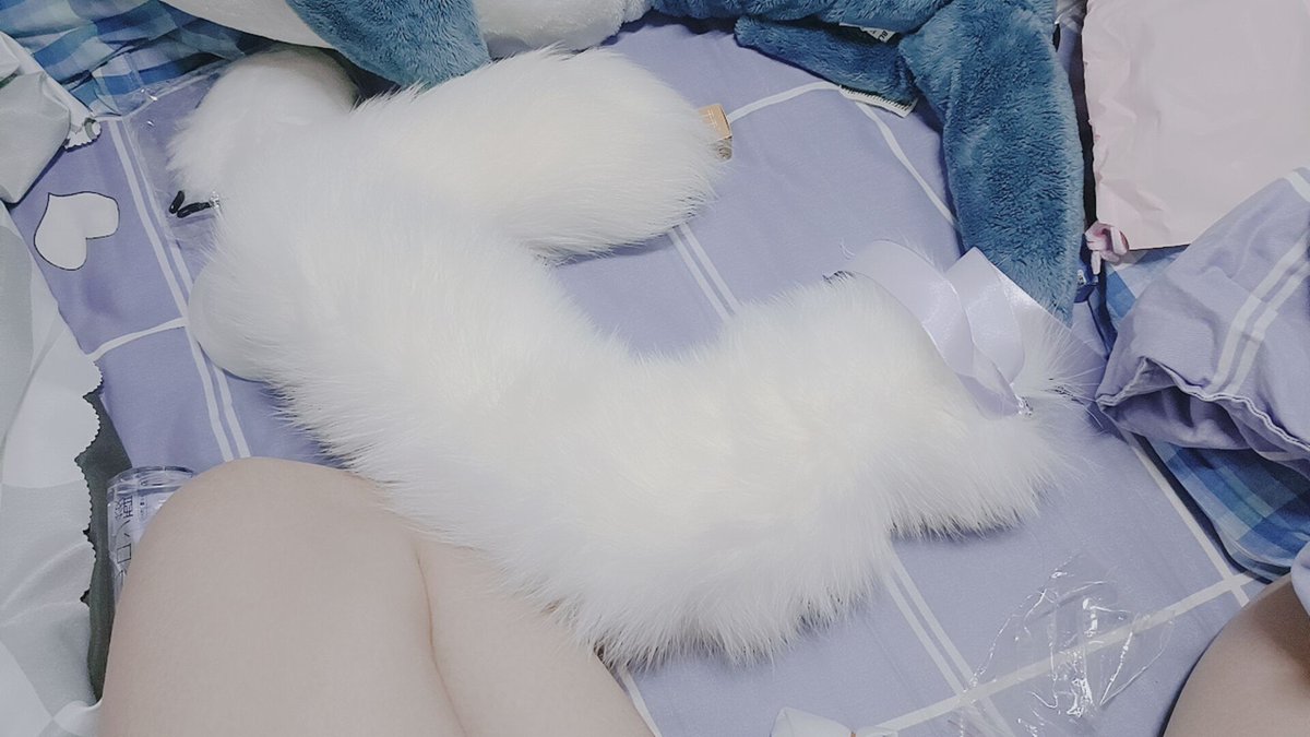 缅因Mainya喵 tweet media