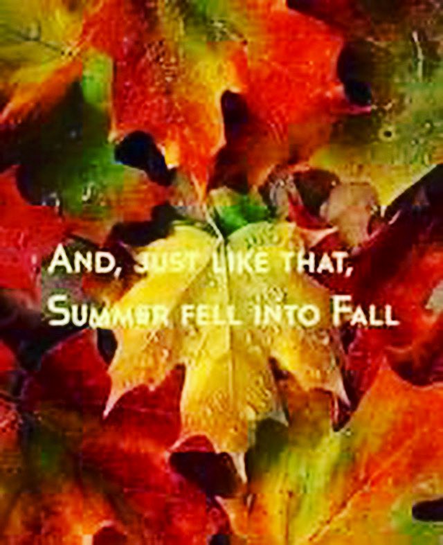 Happy First Day of Autumn🍃🍂🍁#AutumnalEquinox🍃🍂 #autumn🍁#Fall #seasonofchange