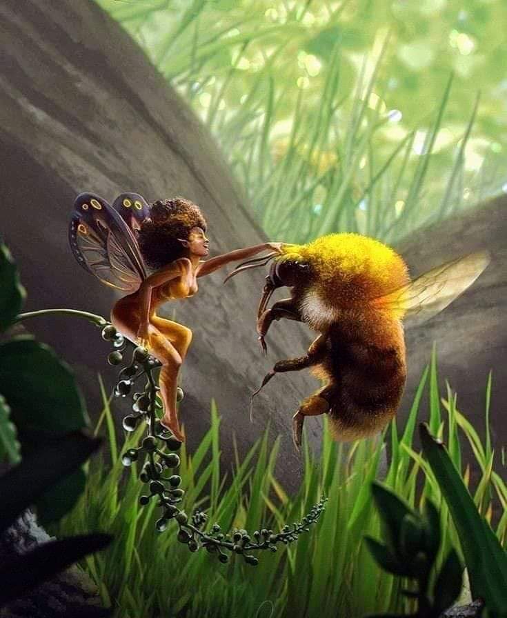 Buenas, feliz sábado 🌻