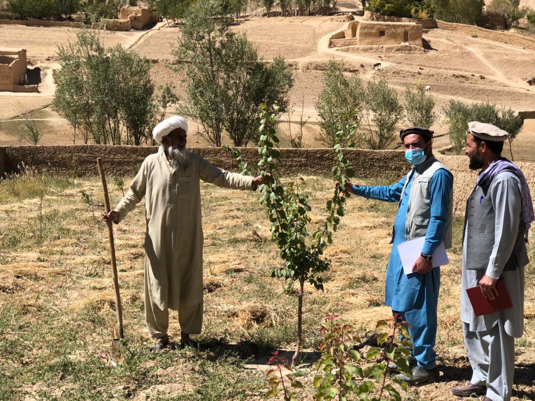 Working for vulneranle Afghans <a href="/CSI_humanrights/">Christian Solidarity International (CSI)</a> <a href="/ICFJ/">International Center for Journalists</a> <a href="/UNV_Afghanistan/">UN Volunteer Afghanistan</a> @AndySoloman <a href="/Ally4Afghans/">Kelly Brown</a> <a href="/bazai_tania/">Tania Bazai 🇵🇰 🇵🇰</a> <a href="/POTUS/">President Donald J. Trump</a> <a href="/ICRCPresident/">Mirjana Spoljaric (Archive)</a> <a href="/UNICEFROSA/">UNICEF South Asia</a> <a href="/unicefchief/">Catherine Russell</a> <a href="/OCHAAfg/">OCHA Afghanistan</a> <a href="/IMoussardC/">Isabelle Moussard Carlsen, Executive Director ERS</a> @phyumonkyaw