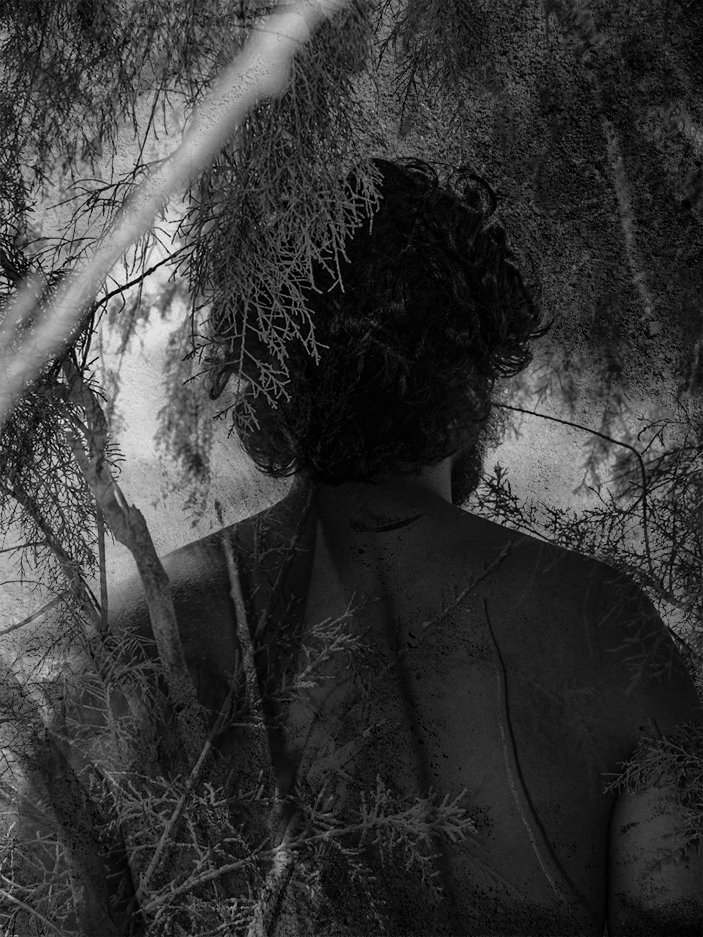 Thrilled to announce my piece "Earth to Sea" is now up for auction on <a href="/objktcom/">objkt</a> 🌿

This is my first auction, and I'm beyond excited! ✨

Starting bid: 25 tez
Duration: 24 hours

"In nature's embrace, we find our essence reflected in its grandeur."

objkt.com/auction/e/85Lv…