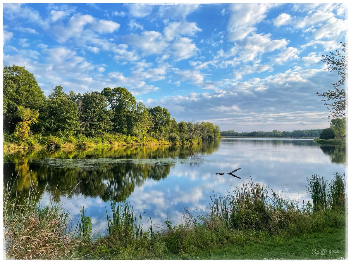 sptwtps's tweet image. It was a gorgeous day out today. 

#MorningWalk 
#SP2023 
#Lake
#Reflections