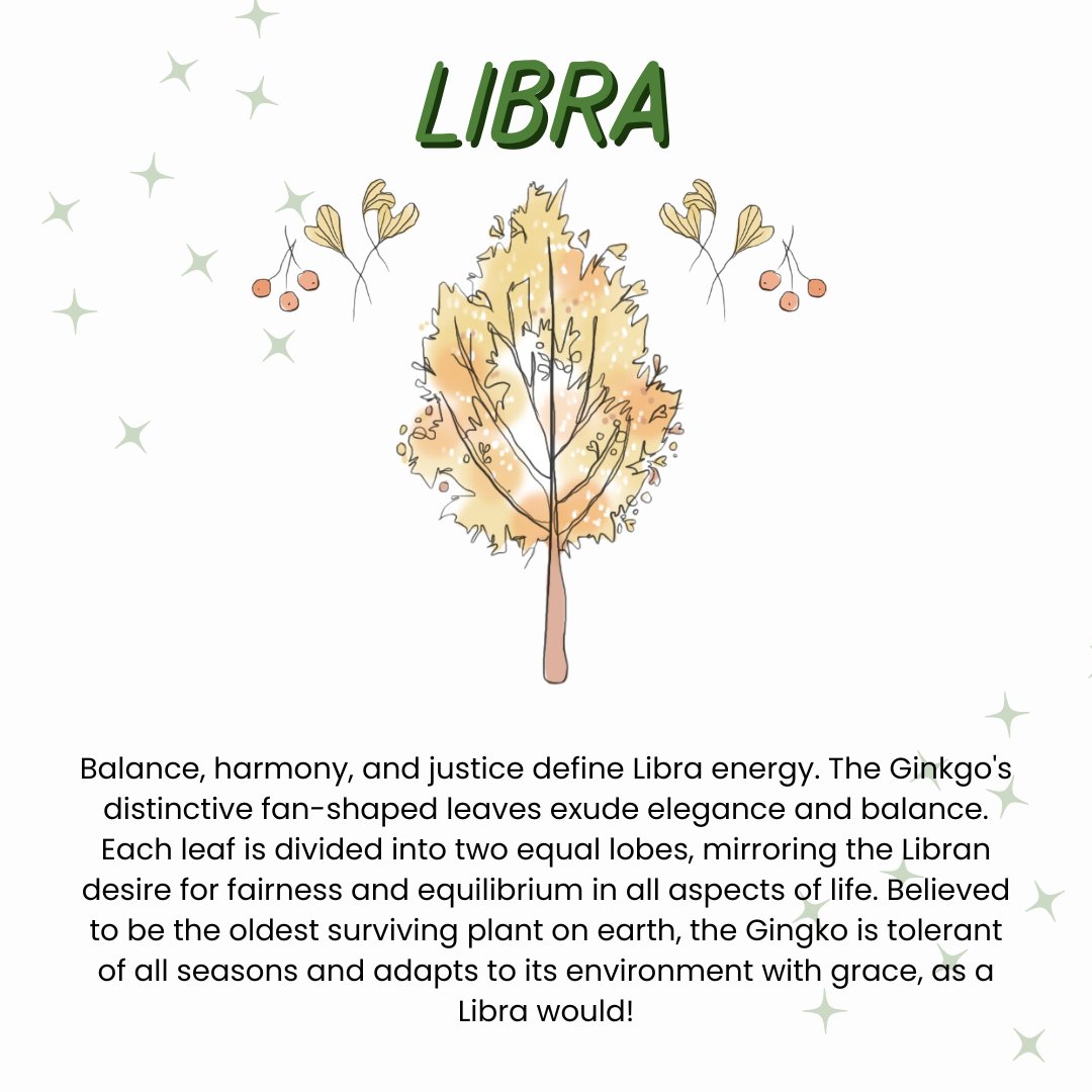 Join us in welcoming Libra season and celebrating the Ginkgo in our tree astrology series!