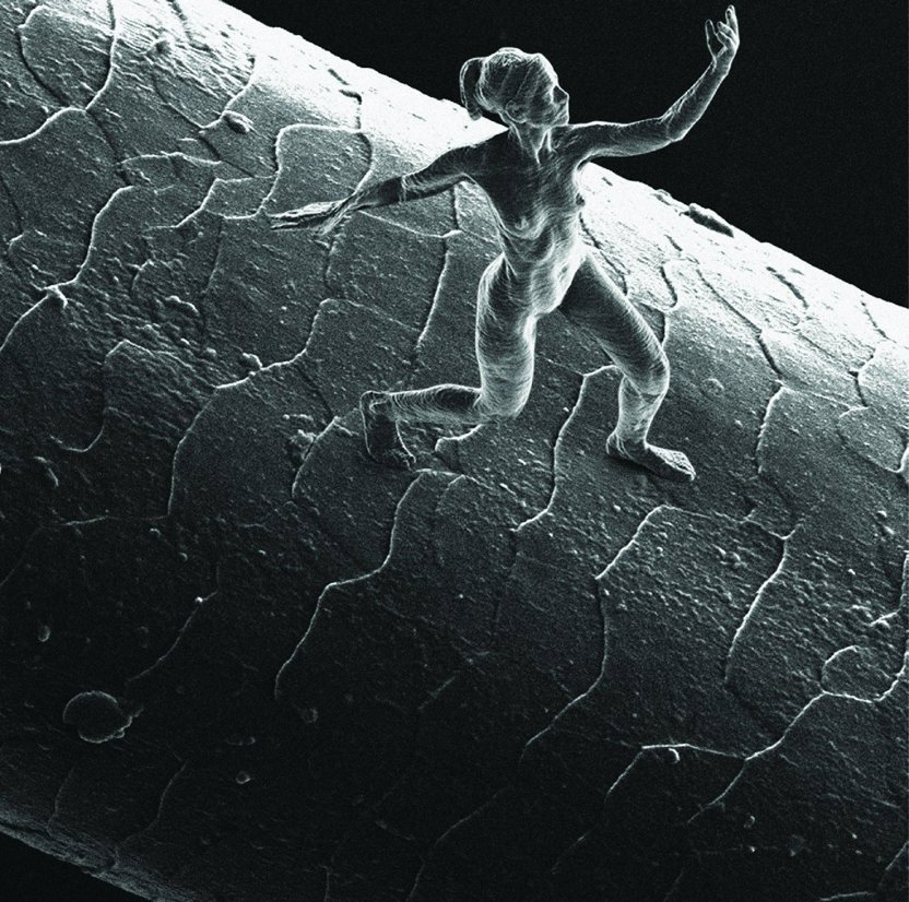 Comunidad Biológica tweet media