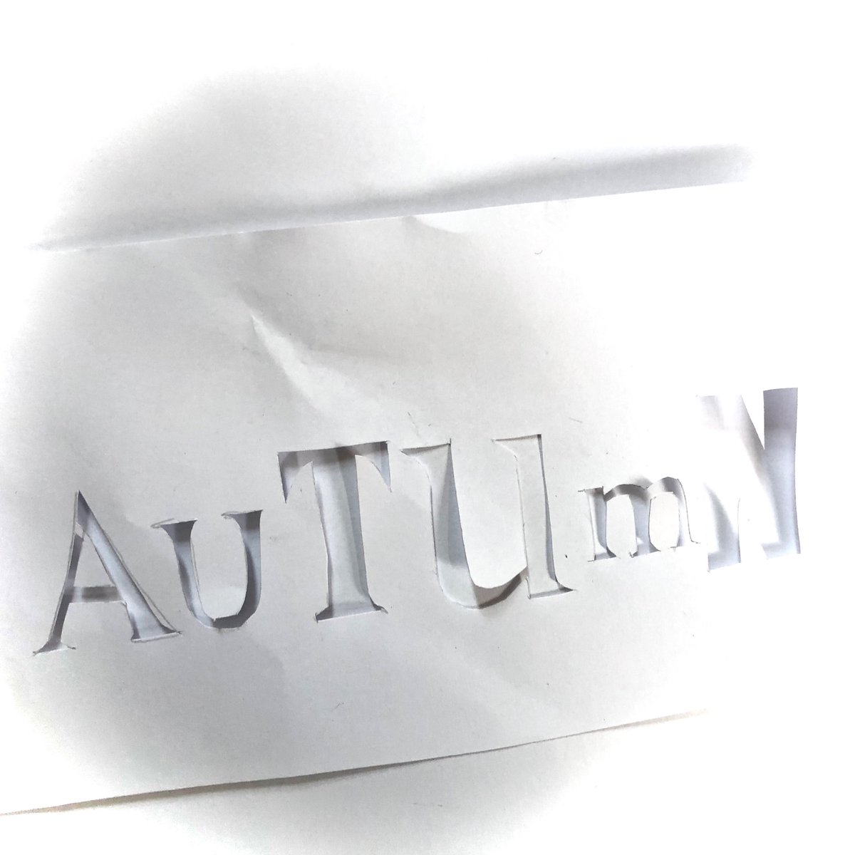 hannahkokoschka's tweet photo. #HandmadeHour @HandmadeHour as it’s #autumn this weekends #handmade #paper #lettering #stencil #papercut #papersrt #typography https://t.co/0VY3CbKbPj