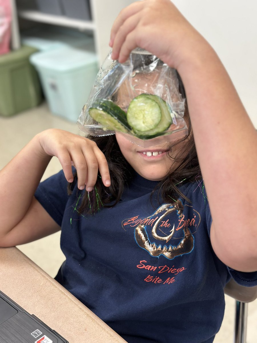 MsWhisnant6's tweet photo. 4th grade loved trying our fresh cucumber during our first “Fresh Fruits and Vegetables” snack!! 🥒💚🥰 #BobcatsPride #CCSStrong @PrincipalJWSE @SeabrookBobcats @CumberlandCoSch @BStan720 https://t.co/Dl57YC2CWi