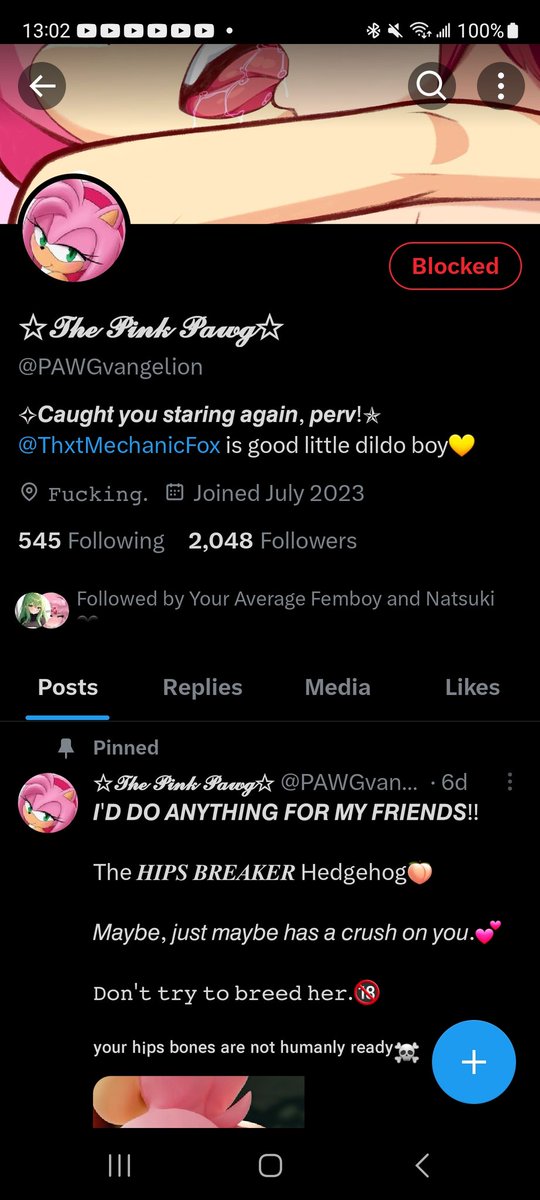 LiteratureLewds's tweet photo. https://t.co/Z6LLVhs6Ov
A lewd Amy Rose /and/ shipping with Tails? That's twice the reason to toss a bitch out https://t.co/nGhqLZTxyW