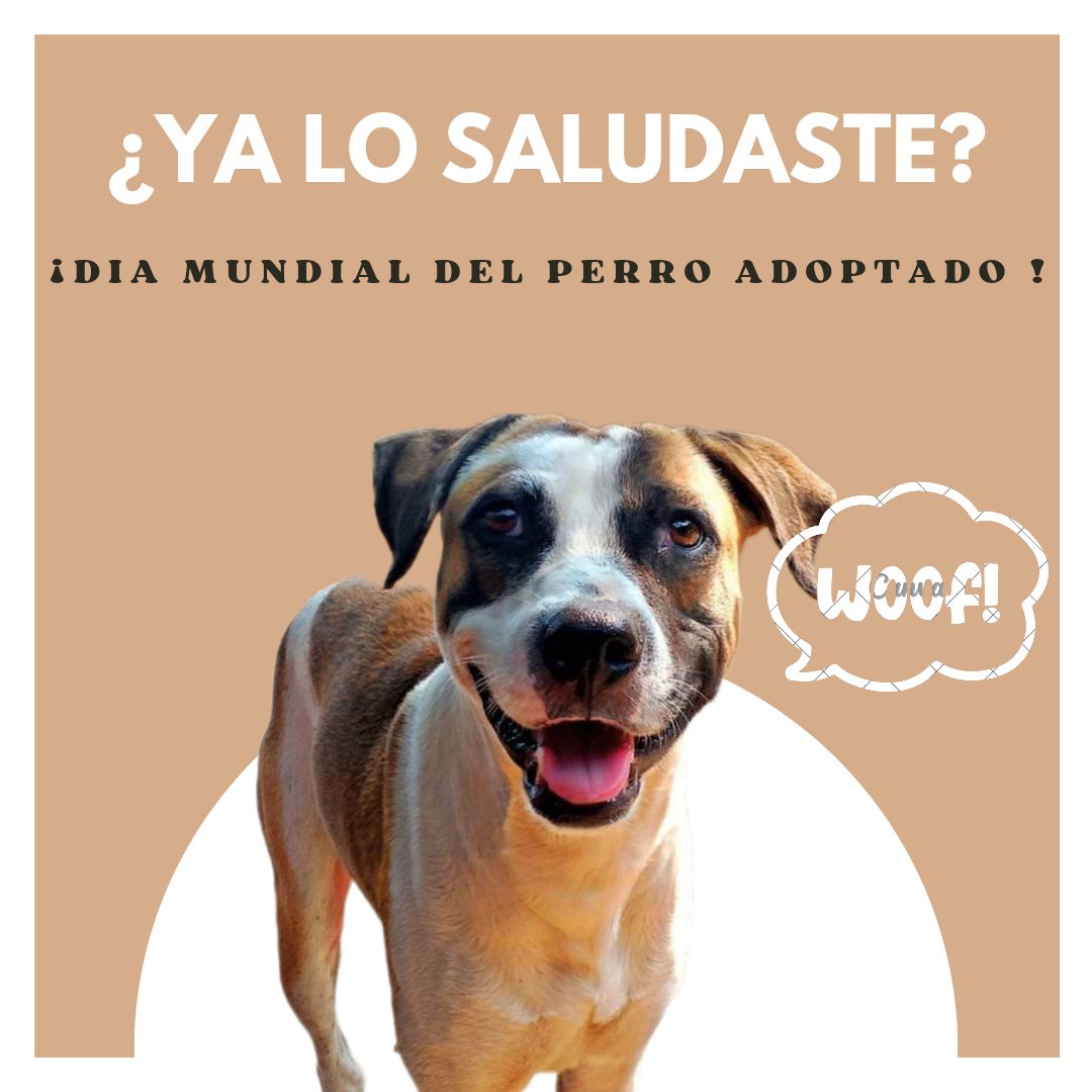 DÍA MUNDIAL DEL PERRO ADOPTADO

Este 23 de septiembre es el Día mundial del perro adoptado. Fecha en que se busca crear conciencia sobre la enorme cantidad de animales que viven abandonados en las calles. Así también, fomentar la tenencia responsable y la adopción de mascotas🐶