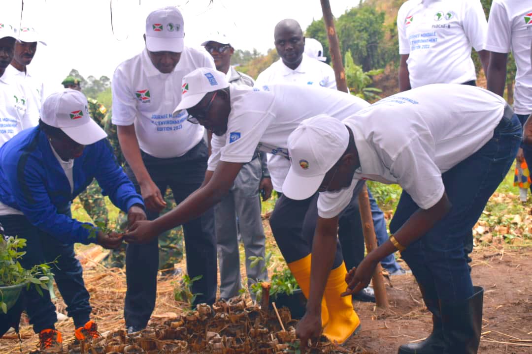 KwaNtare's tweet photo. #Burundi Icegera c'Umukuru w'Igihugu Nyakwubahwa  Prosper #Bazombanza, kuri uyu wa 22 nyakanga 2023, yarateye iteka, mu ntara ya @RuyigiProvince, ibirori vyo guhimbaza umusi mpuzamakungu wahariwe ibidukikije, umwaka w' 2023. https://t.co/YjJ0kzTBiO