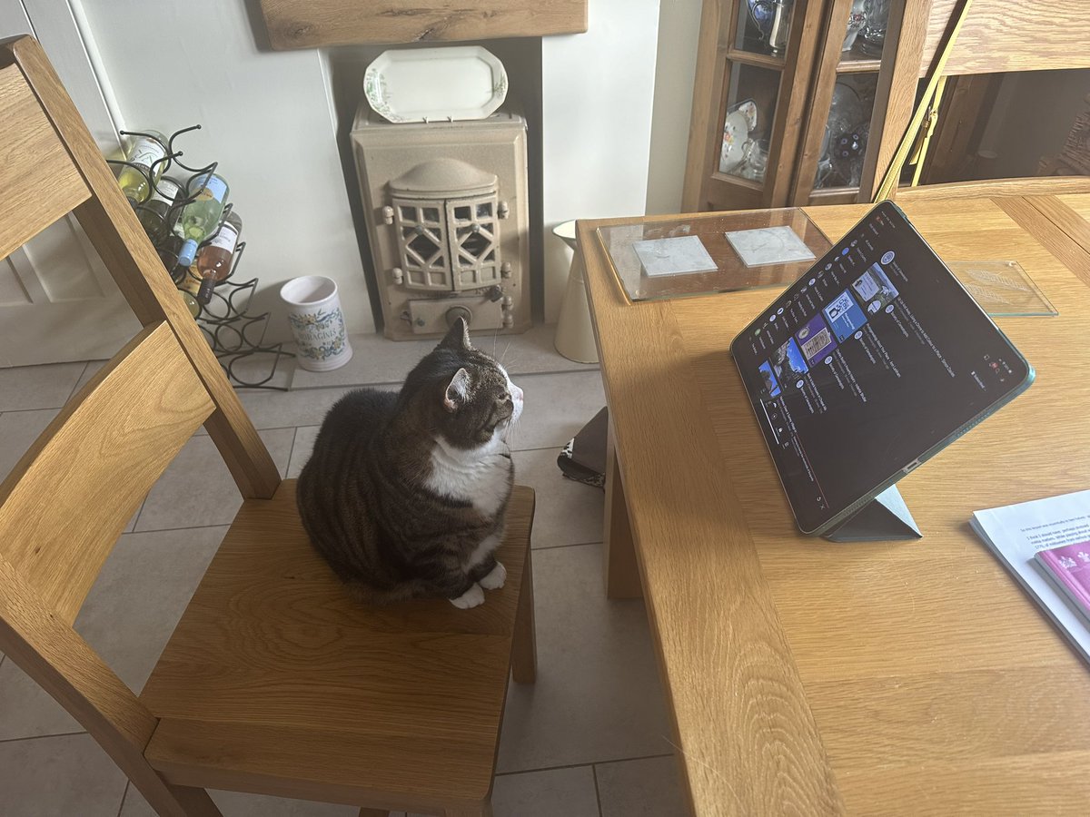 WhitstableCat's tweet image. I think we can all agree the recorded talks in the AMAZING #AllAboutThatPlace  online event are utterly 🐈‍⬛ cativating 😻😉😻yes? Today’s theme of maps and images is a joy #genealogy #OnePlaceStudy #LocalHistory