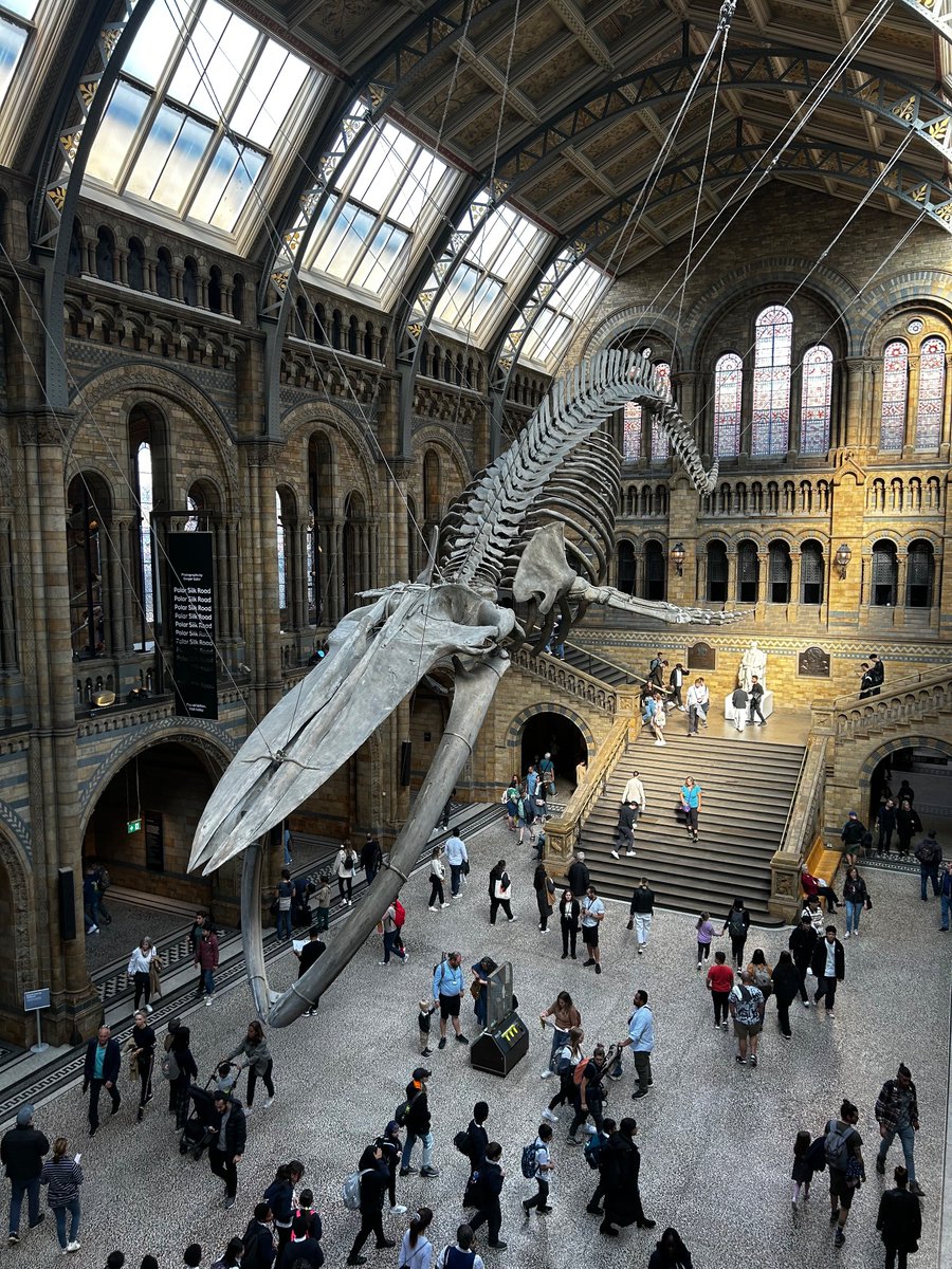 Dr. Hannah Elms tweet media